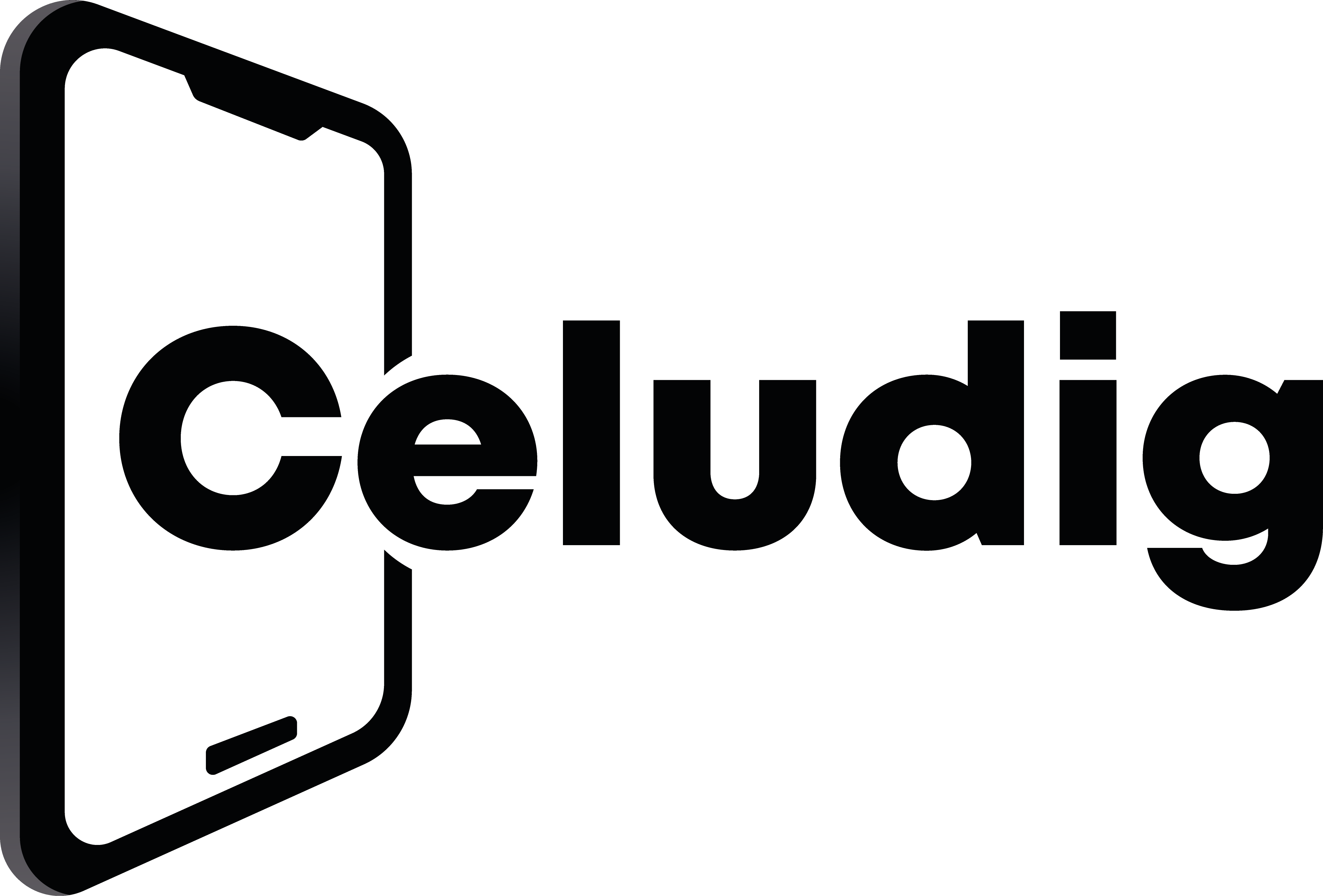 Logo Celudig